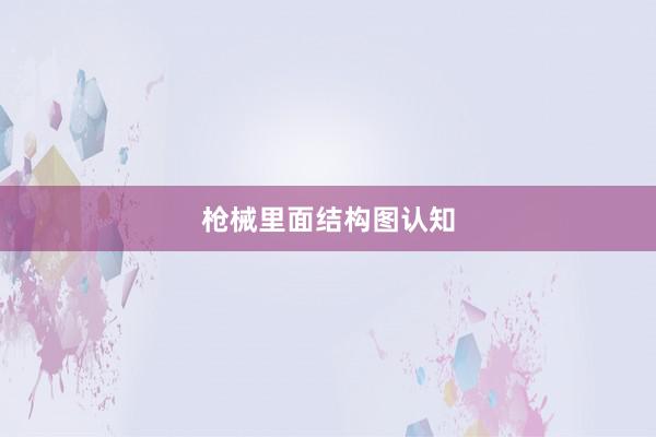 枪械里面结构图认知