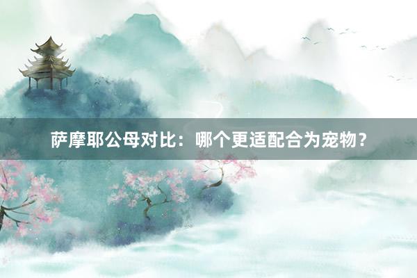 萨摩耶公母对比：哪个更适配合为宠物？